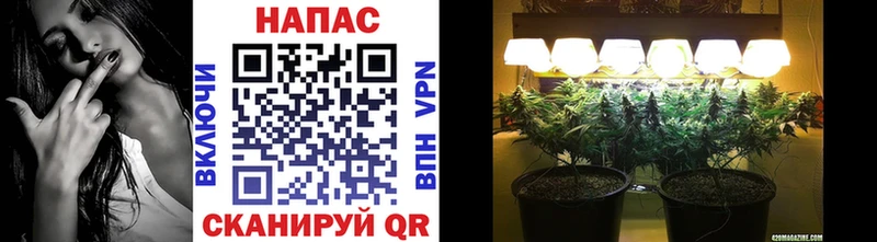 Названия наркотиков Петушки АМФ  Меф мяу мяу  Alpha-PVP  блэк спрут вход  Галлюциногенные грибы  Кокаин  ГАШИШ 
